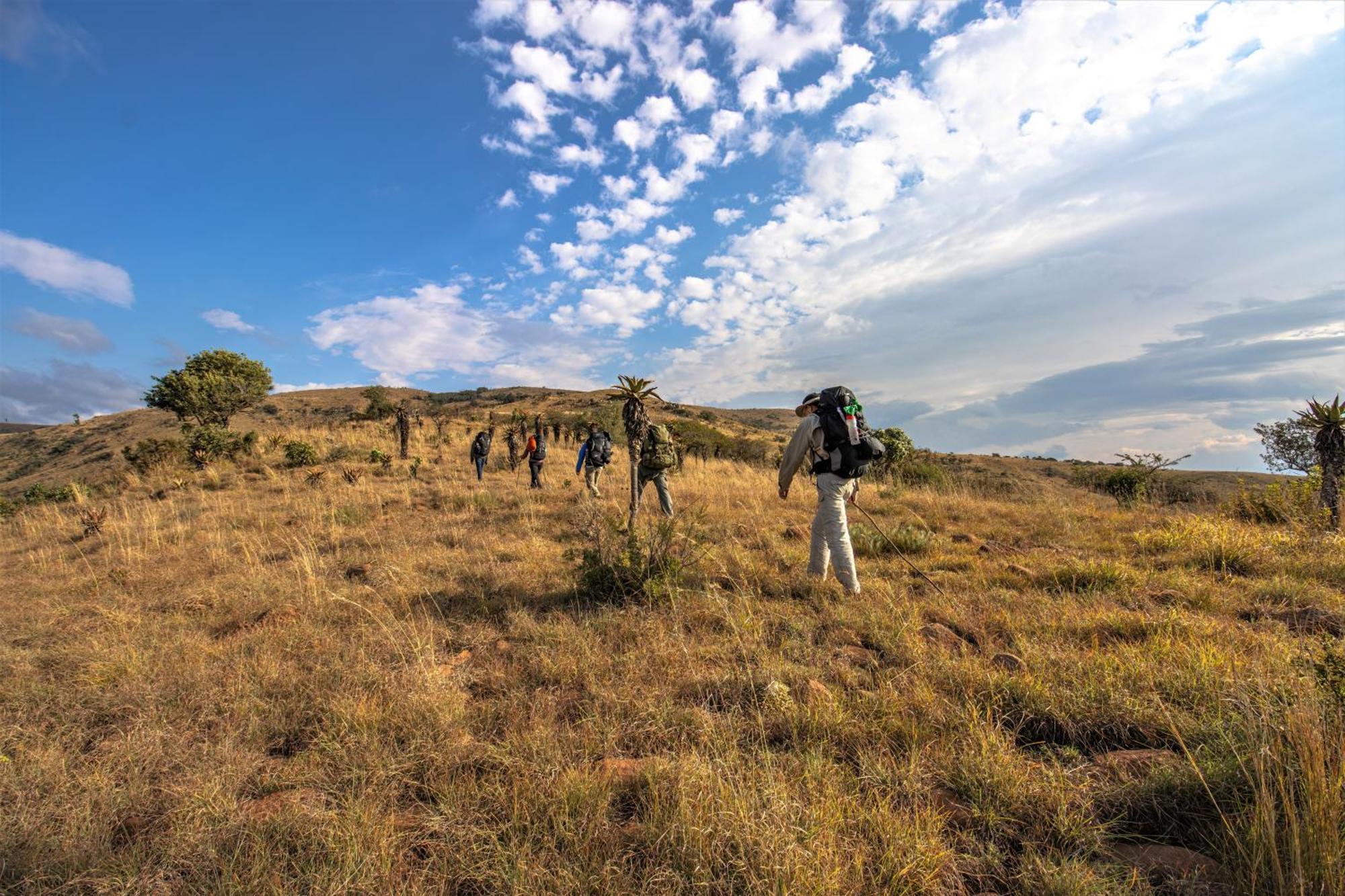 Valley Lodge - Babanango Game Reserve Νταντί Εξωτερικό φωτογραφία